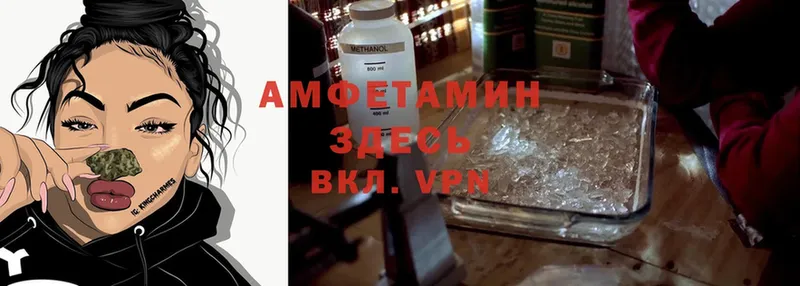 darknet наркотические препараты  Кстово  Amphetamine Premium 