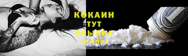 Альфа ПВП Белокуриха