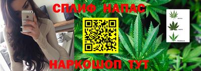 герыч Кинель