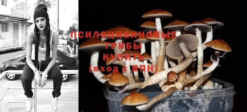 Псилоцибиновые грибы Magic Shrooms  Кстово 