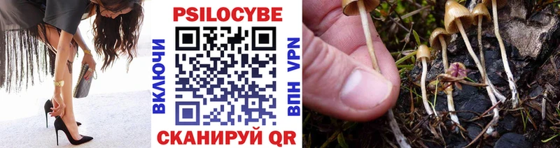Галлюциногенные грибы GOLDEN TEACHER  Кстово 