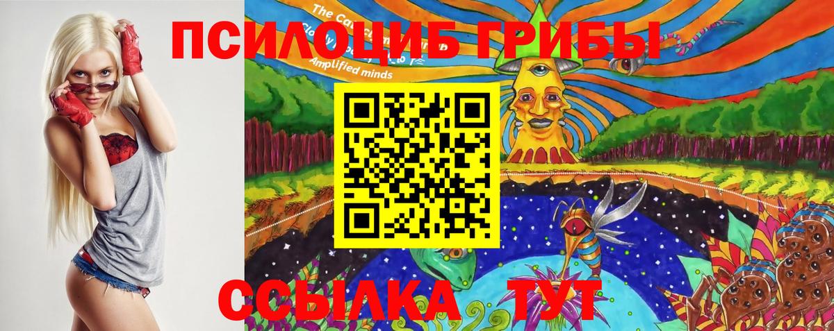 Псилоцибиновые грибы Psilocybe  Вход с VPN  Кстово 